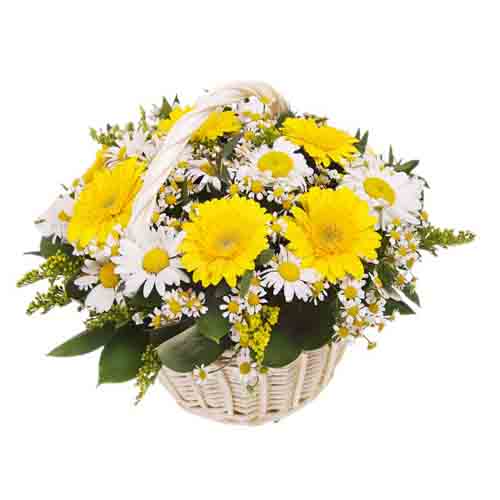 Yellow And White Flowers