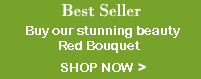 Best Seller