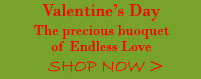 Valentine's Day