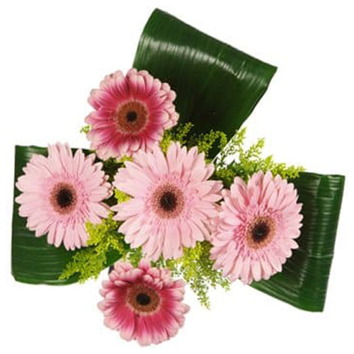 Darling Daisies Bouquet