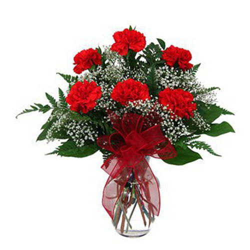 6 Red Carnations