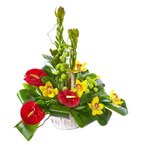 Anthurium And Yellow Flowers