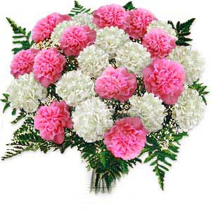Carnations Arrangements