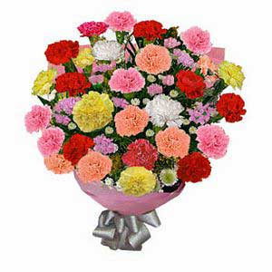 Carnations Floral