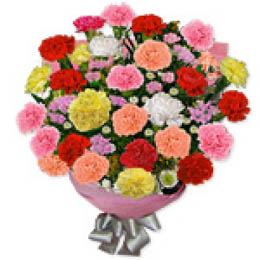 Carnations Floral