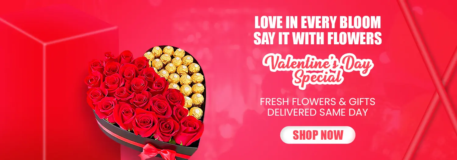 Intro Slide Background