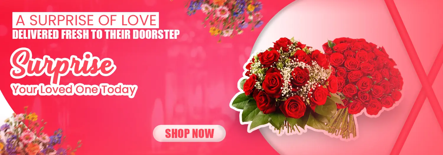 Intro Slide Background