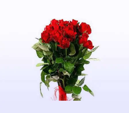 Deluxe hugs and kisses