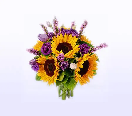 Tropical Sophistication