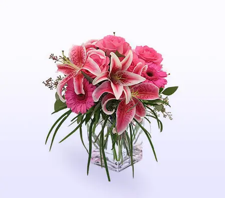 Vivid Blooms