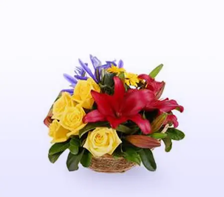 Bright Modern Basket