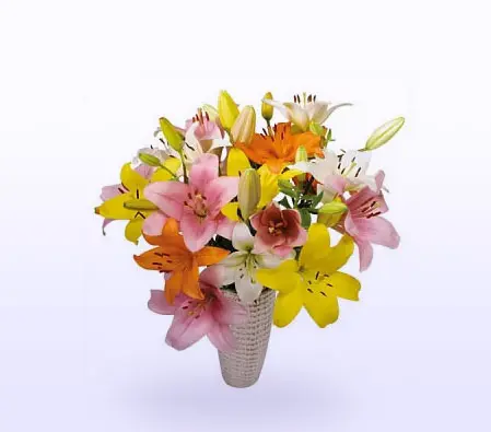 Luxury Lilies
