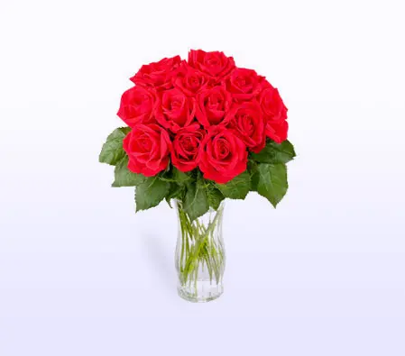 Dozen Red Roses