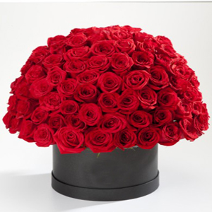 Red Rose Love