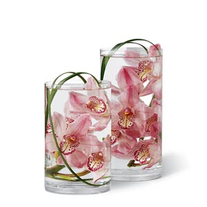 Floating Orchid Vase