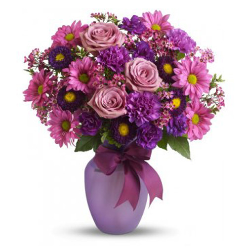 Purple and Pink Flowers