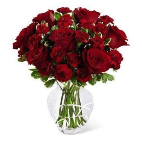 Red Roses and Red Carnations