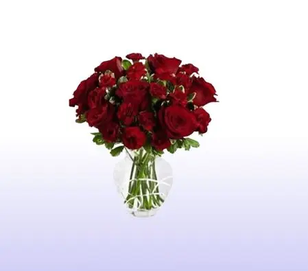 Red Roses and Red Carnations