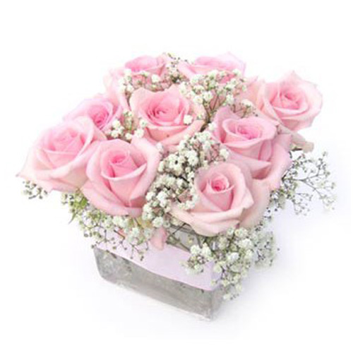9 Pink Roses