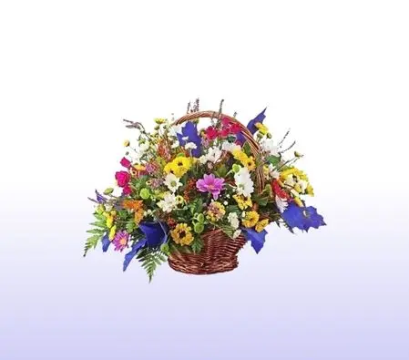 Picnic in the Country