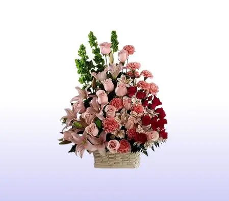 Pink Tribute Sympathy