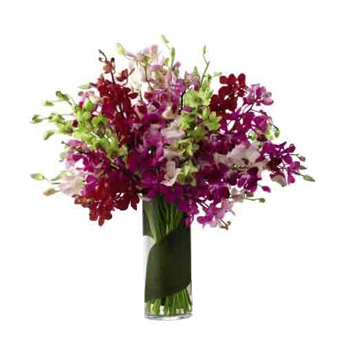 Mixed Orchid Vase
