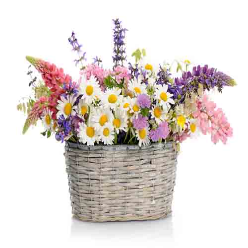 Basket Of Spring Flowers