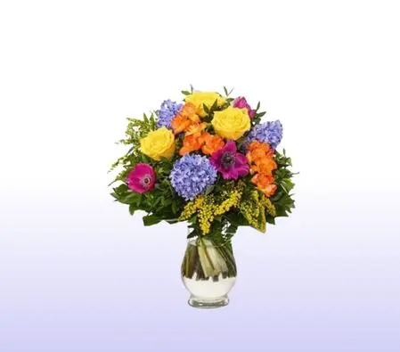 Happiness Fully Loaded