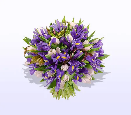 Iris and Tulips Combination