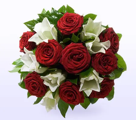 Purity Roses and Lilies