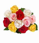 Roses Crown - Festive Sparkle